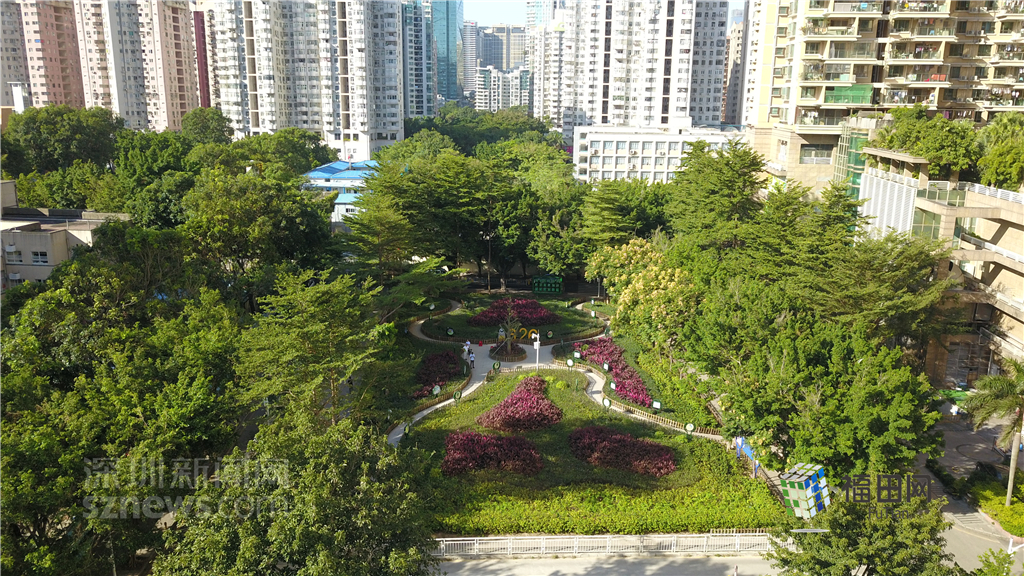  鵬城眼|我的實(shí)事我做主！5年辦理“民生微實(shí)事”6774件}